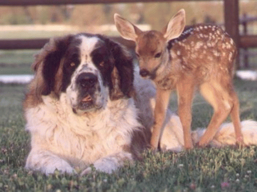 Sloth (USA-2) : 5-14-14